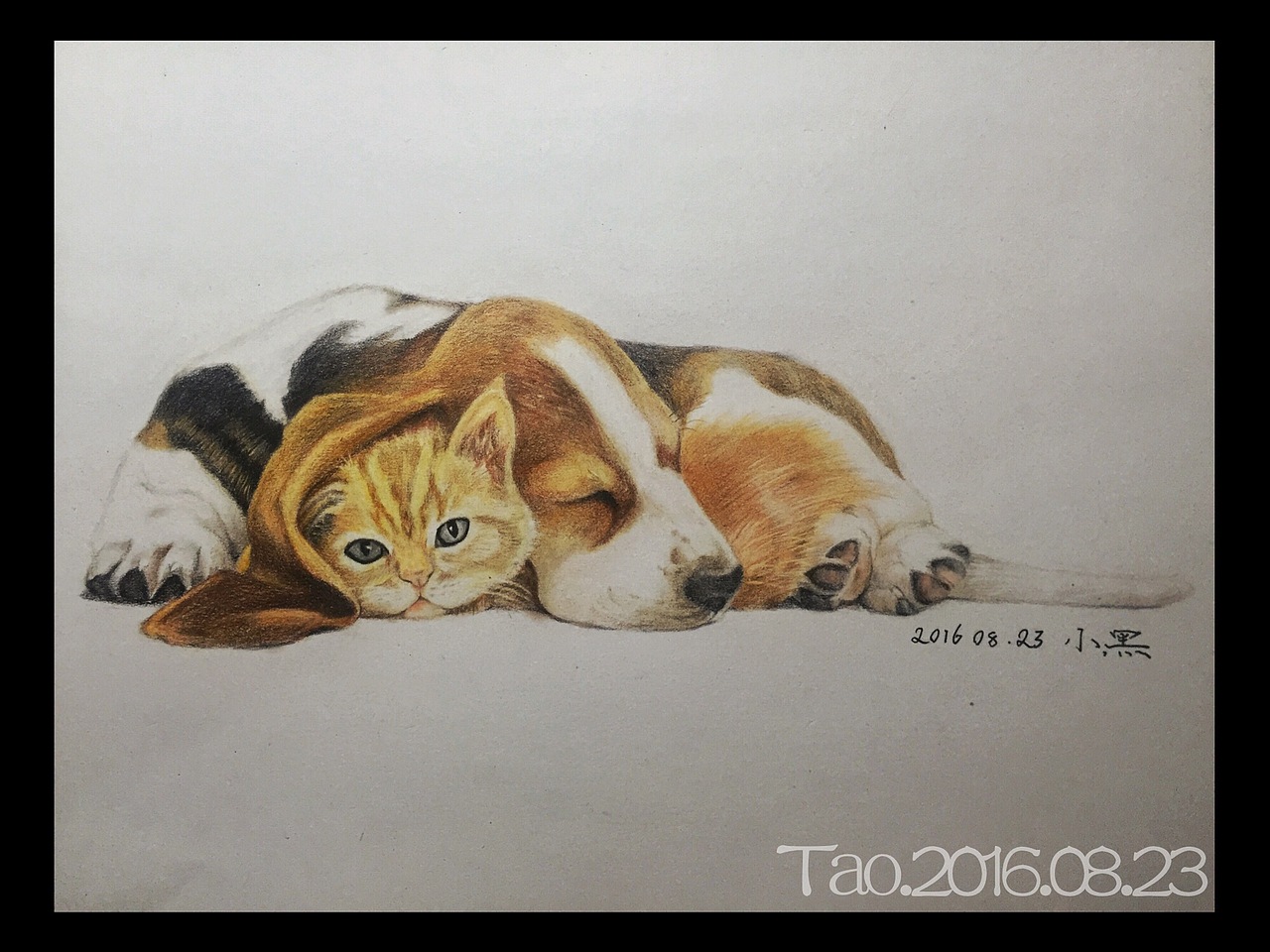 小猫小狗写生（图ZODIzOTI1MTI=） - 绘画 - 站酷设计师AT小黑原创素材 - 站酷ZCOOL