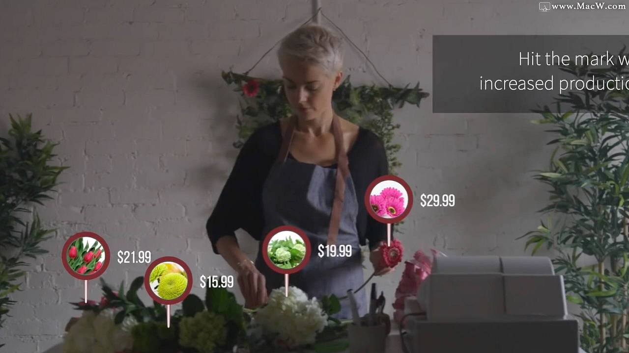 FCPX插件:坐标指针定位Pointer Pop