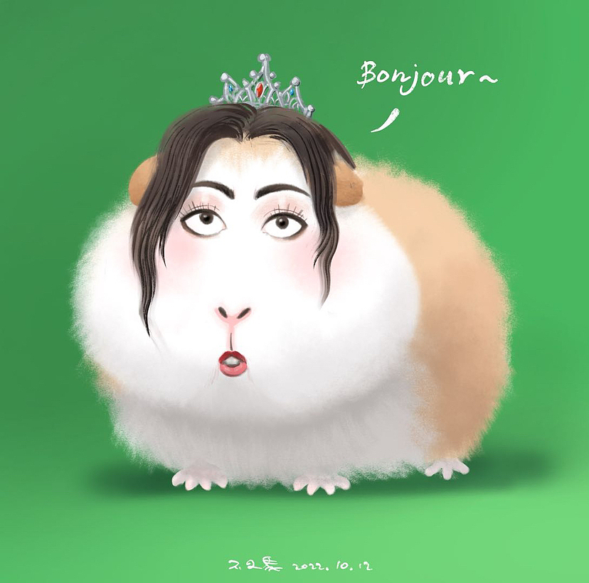 买了只豚鼠,总感觉哪里不对?