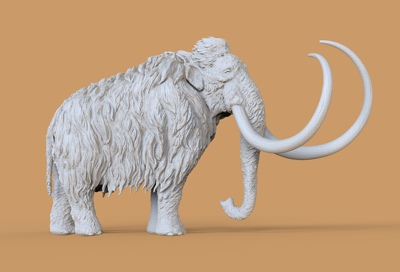 远古长毛象带地台