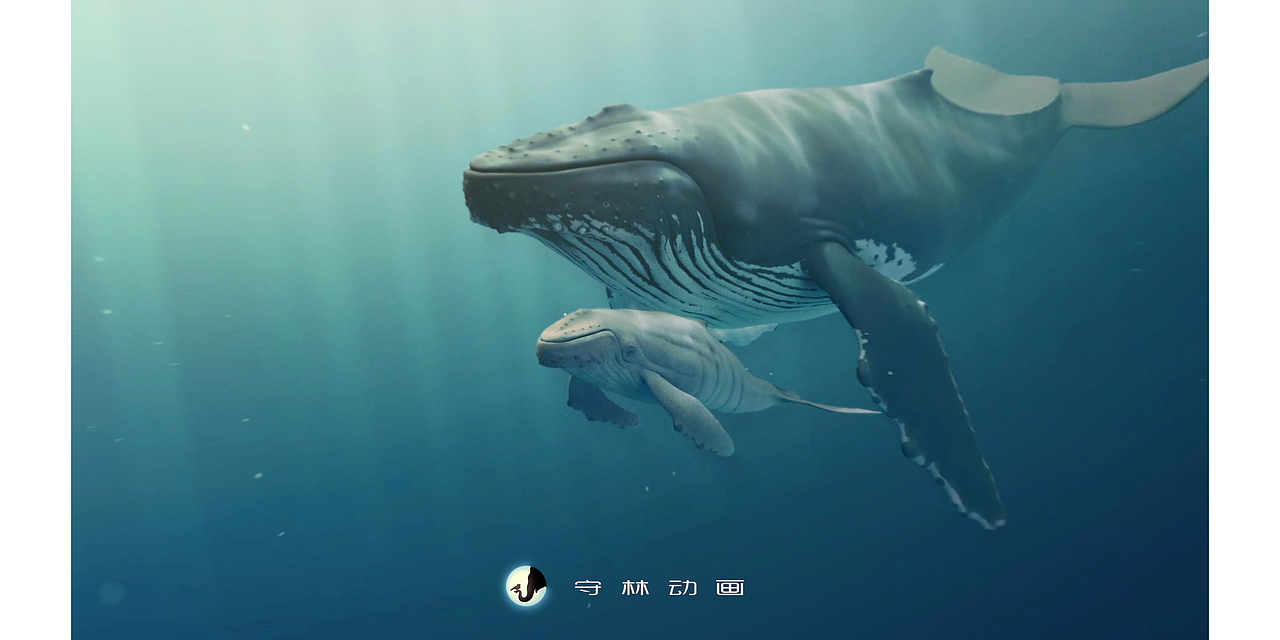座头鲸 | 写实CG生物 附动画测试（图ZMjg2MDg1Nzgw） - 人物/生物 - 站酷设计师守林动画原创素材 - 站酷ZCOOL