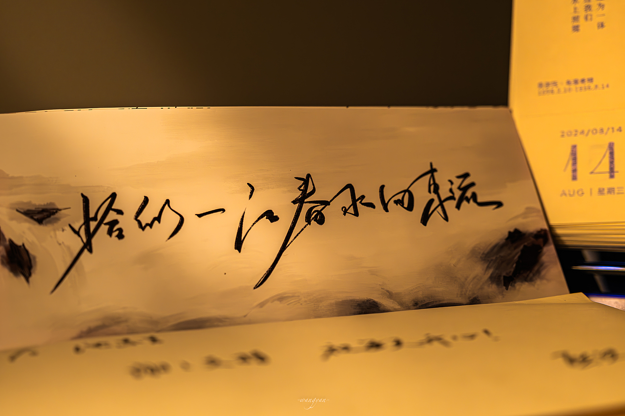 曾是惊鸿照影来