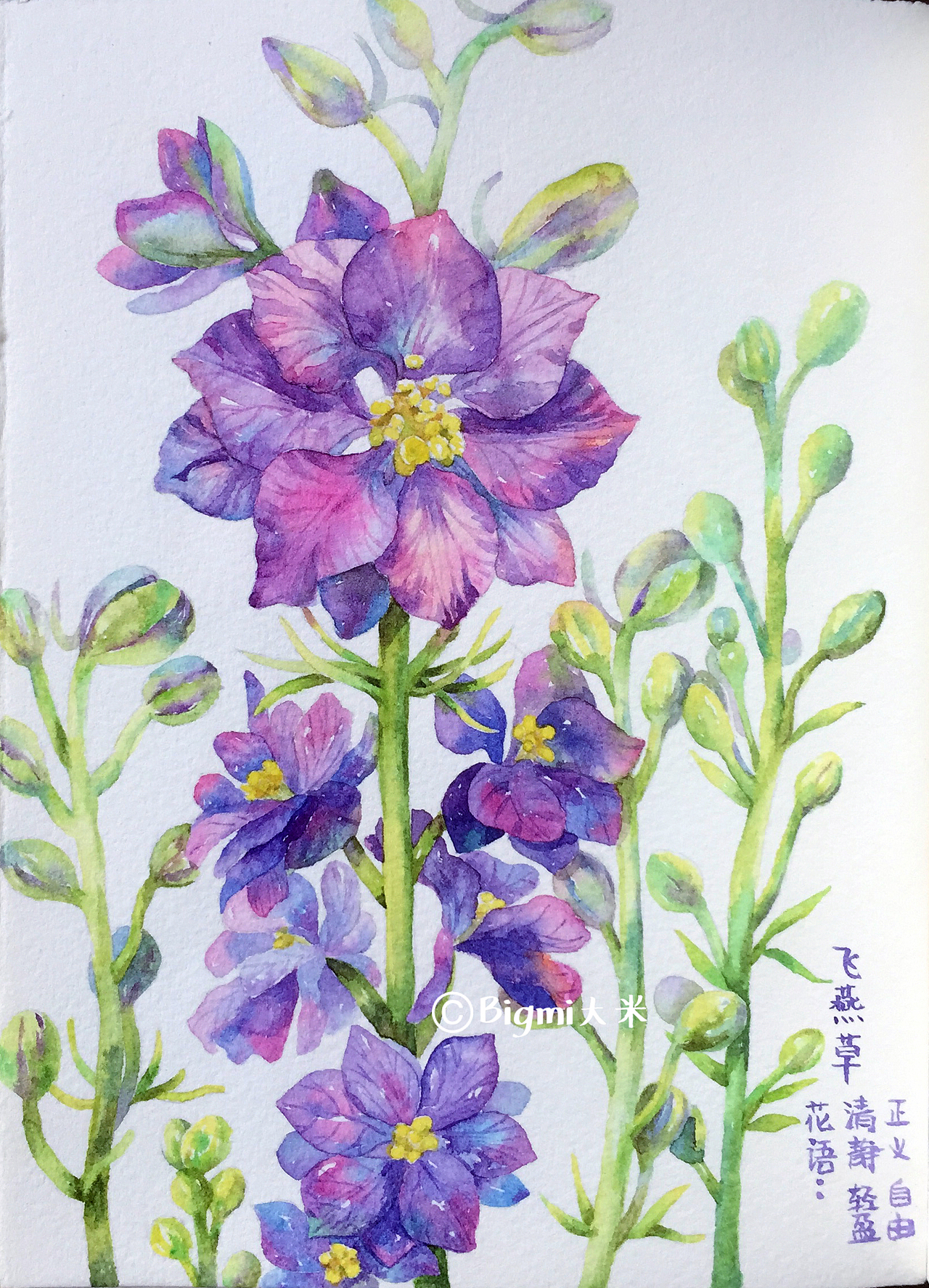 那些花儿-原创手绘水彩插画(图ZMTE5ODc1OTQw) - 艺术插画 - 站酷设计师Bigmi大米原创素材 - 站酷ZCOOL