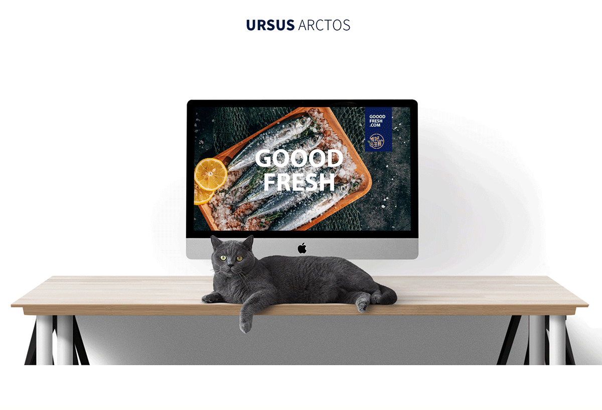 有好生鲜品牌形象设计