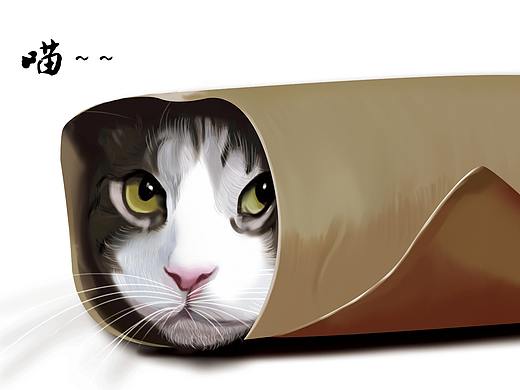 代课老师的素“猫” 水“混”