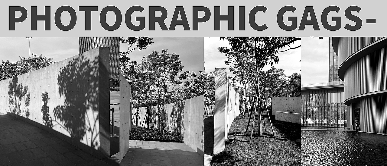 弧形走廊,巧妙的绿植搭配,将美妙的光影保留在墙上,实在吸引人。真是一道靓丽的风景线。