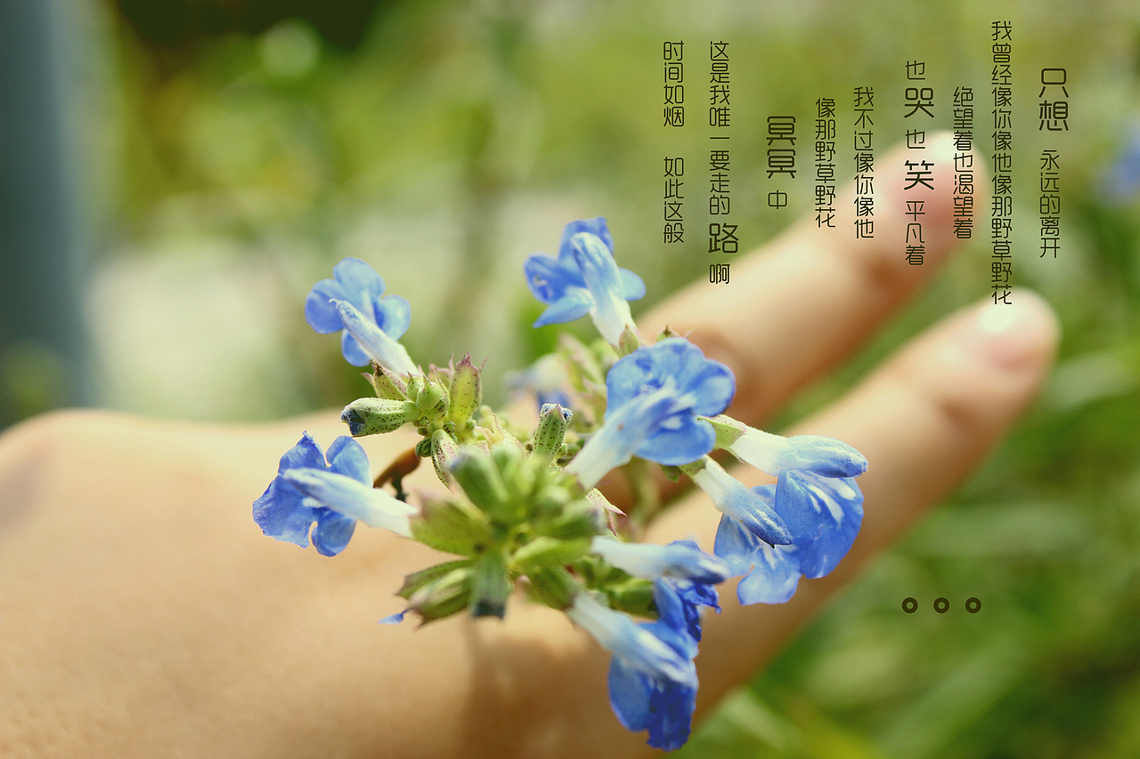 知無(wú)不言（圖ZMjA3NDM4MDQ=） - 其他攝影 - 站酷設(shè)計(jì)師zhangmengfei原創(chuàng)素材 - 站酷ZCOOL