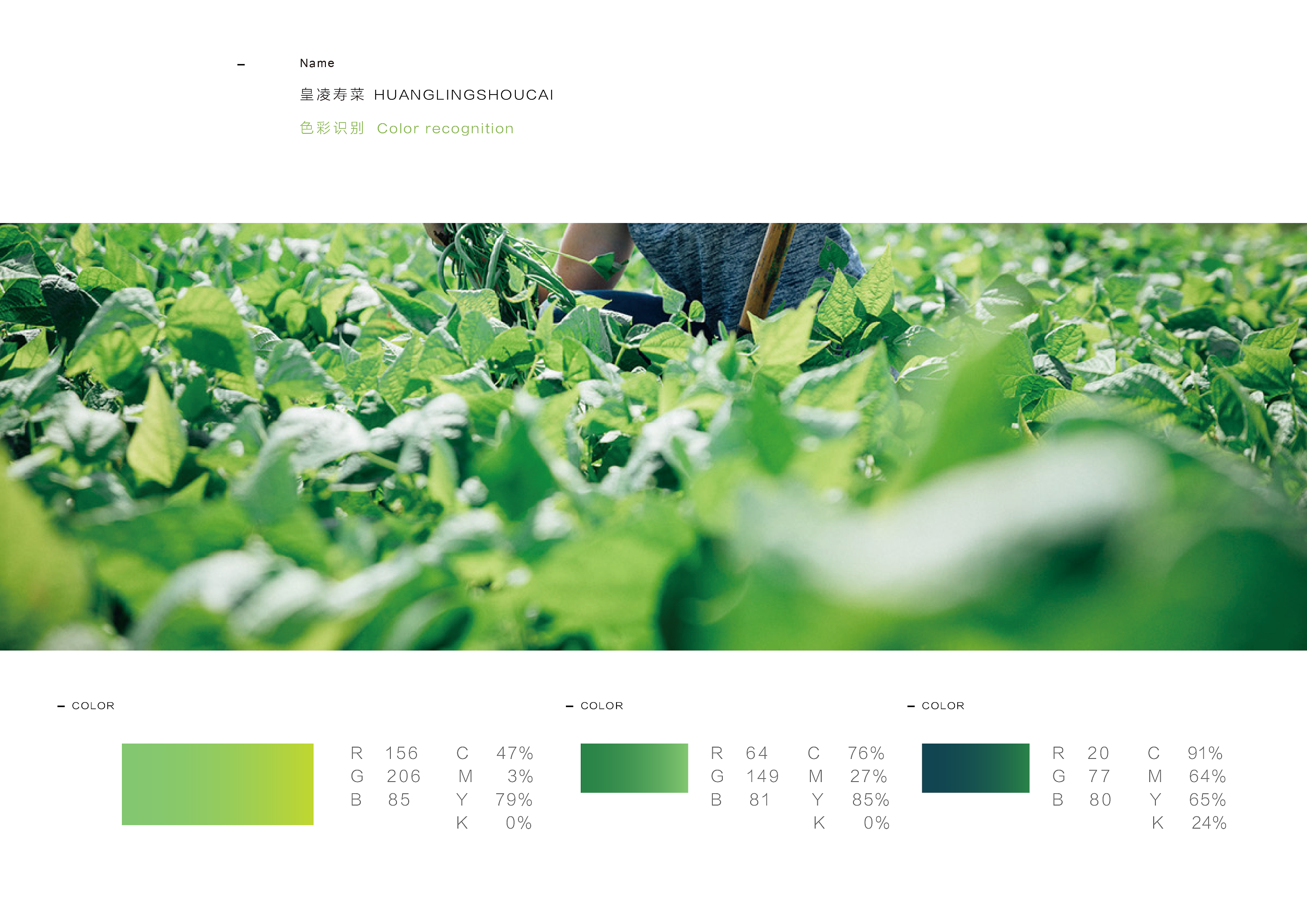 农产品蔬菜品牌logo设计