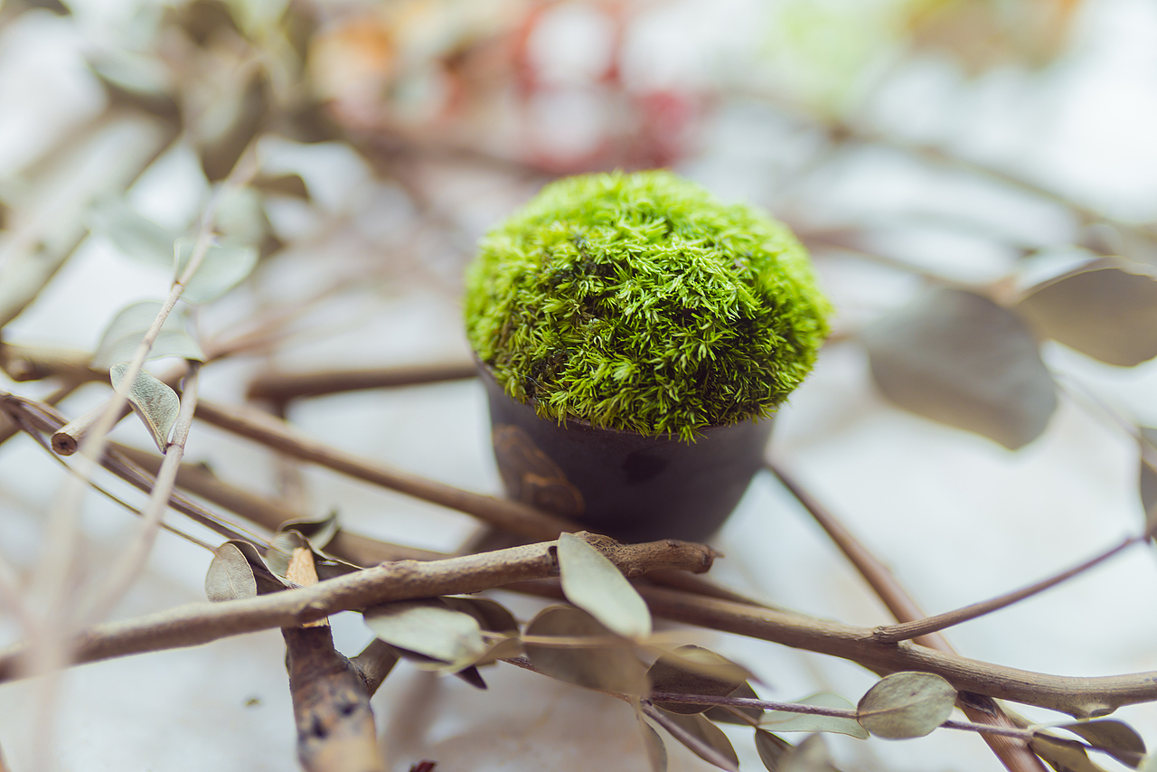 一人饮茶具系列｜西游｜产品摄影（图ZNjQ0NjQzMjA=） - 产品摄影 - 站酷设计师安热闹原创素材 - 站酷ZCOOL