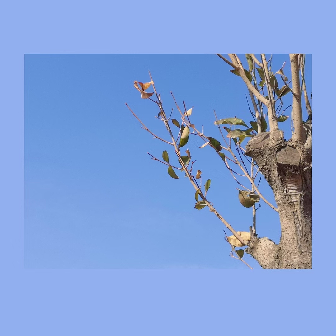 风景（图ZMjQ0NDk1ODMy） - 风光摄影 - 站酷设计师SGEJWJ原创素材 - 站酷ZCOOL