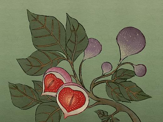 無花果（個人主頁-ZNDA2MDc1NTY=） - 創(chuàng)作習作 - 站酷設計師蘇俺原創(chuàng)素材 - 站酷ZCOOL