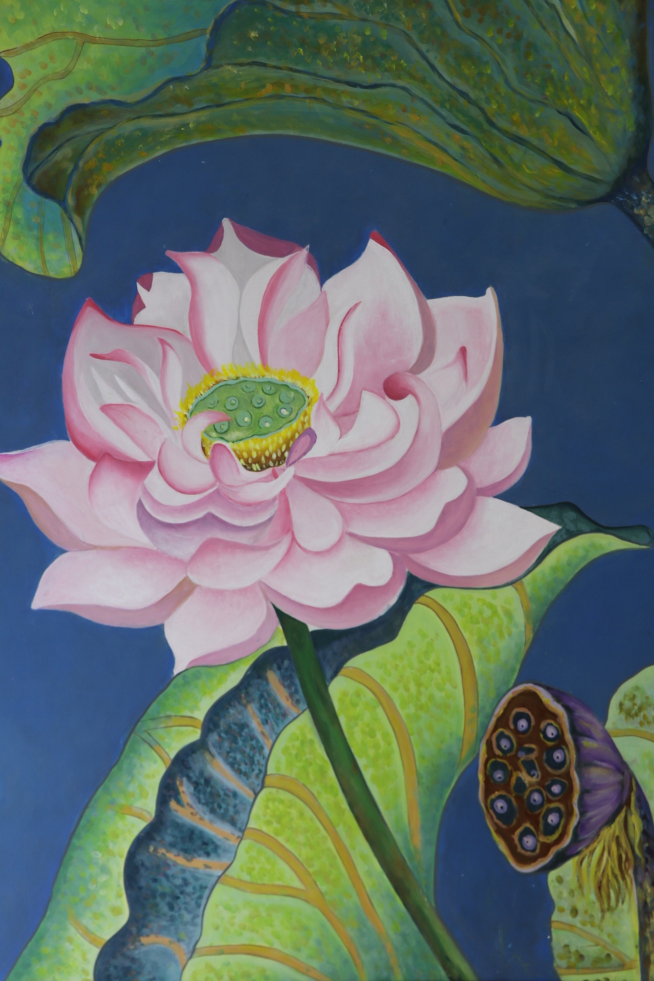 墙绘培训 | 工笔荷花