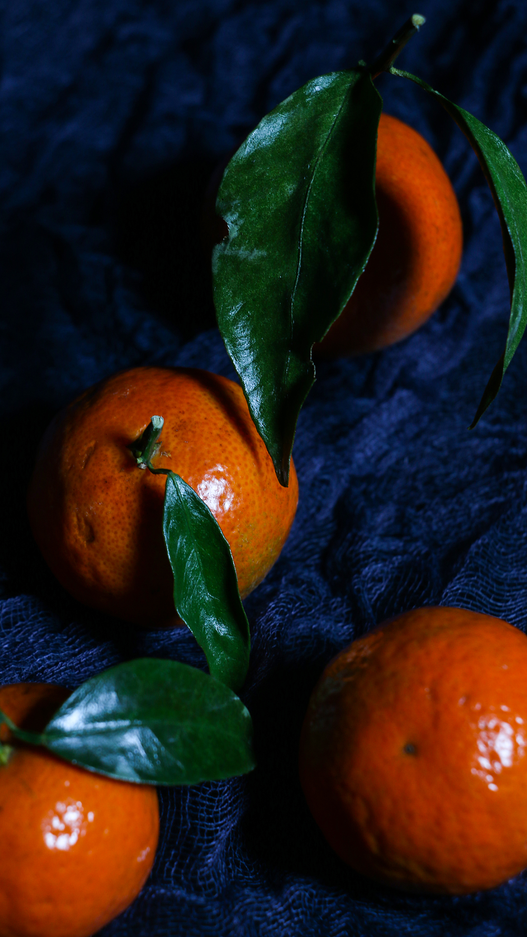 静物|摄影|产品摄影|浅色_格子 - 原创作品 - 站酷 (zcool)