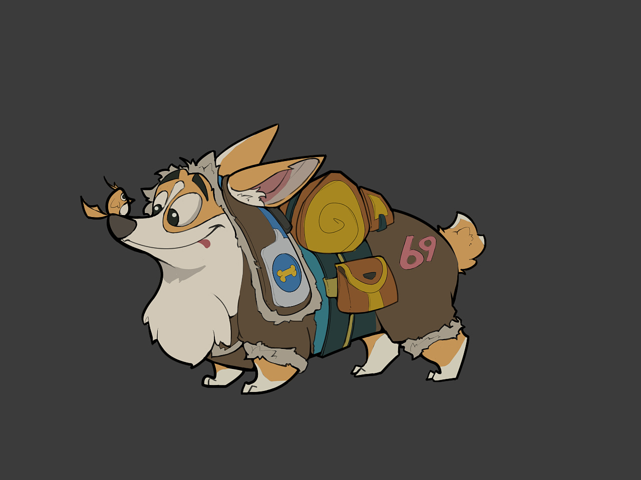 极低配送小柯基