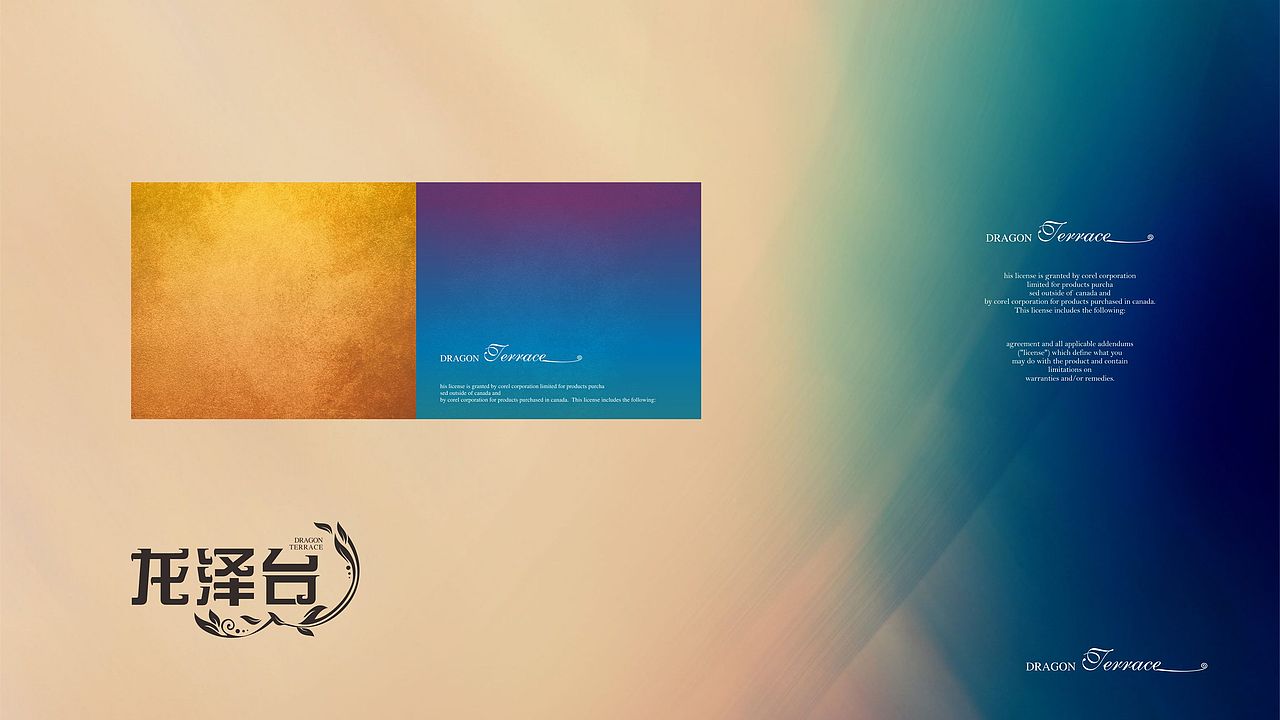 龙泽台 | 房地产品牌VIS