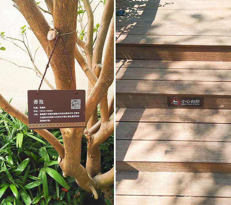 树铭牌+小心台阶