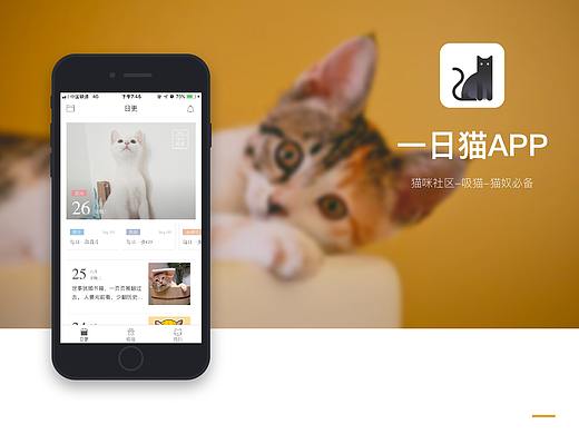 一日貓APP（個人主頁-ZMzcyMzYzOTI=） - APP界面 - 站酷設計師龍咕咕原創(chuàng)素材 - 站酷ZCOOL
