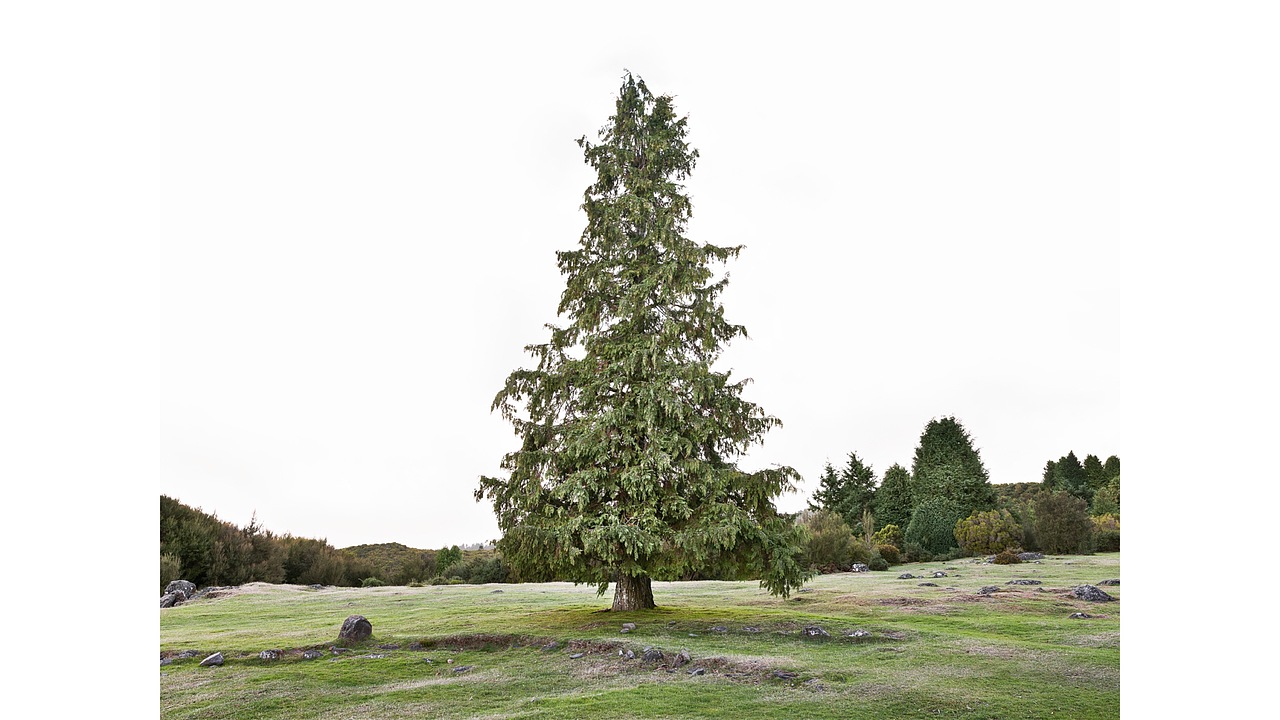 潮牌服装品牌视觉设计（图ZMjE1MzMwMzAw） - 品牌 - 站酷设计师广州维思计设原创素材 - 站酷ZCOOL