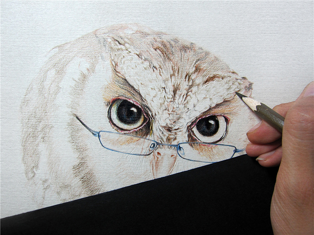 纸上彩铅-《福鸟花鸮》绘制过程（图ZMjcxNzI5NDQ=） - 绘画 - 站酷设计师超超的青葱原创素材 - 站酷ZCOOL