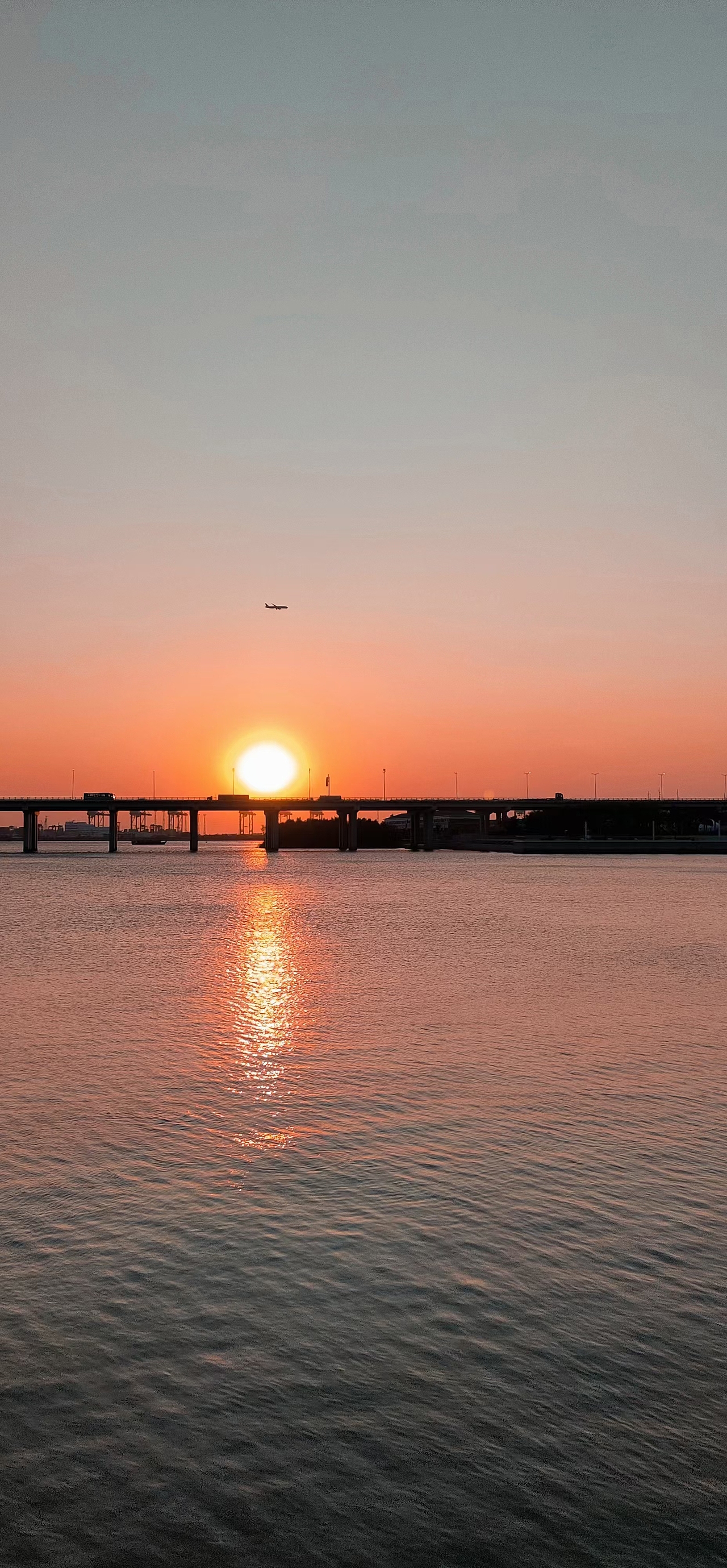 保持热爱,奔赴山海