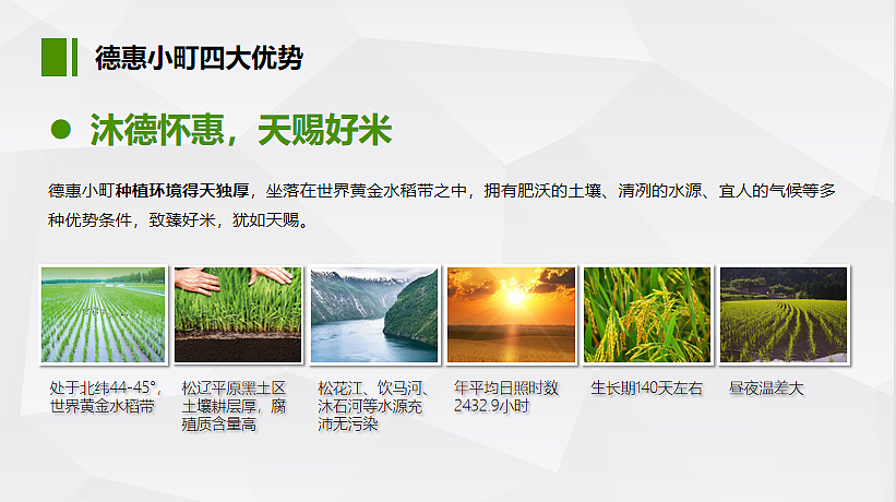 2022农业区域公用品牌大米品牌营销推广方案-72P