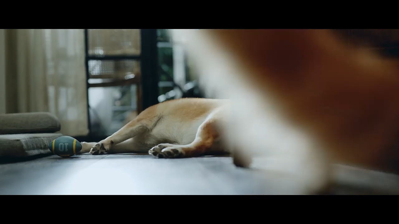 日食记学习-腊肠酱（图ZMTcxNDE5NjA4） - 设定/分镜 - 站酷设计师Spartina原创素材 - 站酷ZCOOL