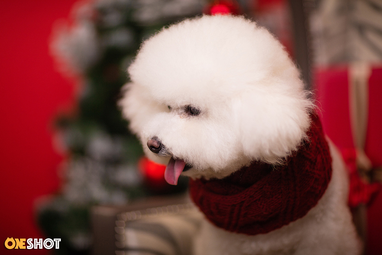 2018圣诞合集第一弹丨你的圣诞礼物又到啦!