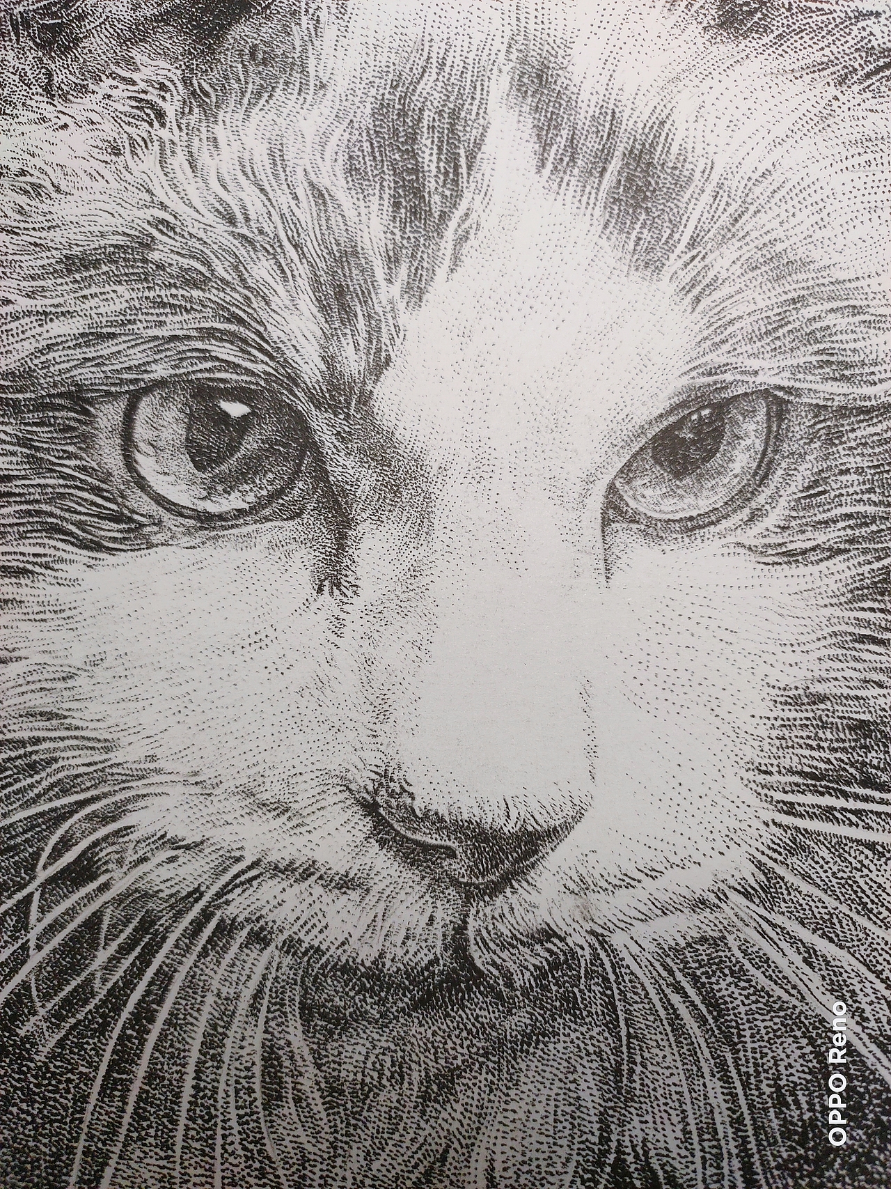 喵星传,第二季,摩羯莅临