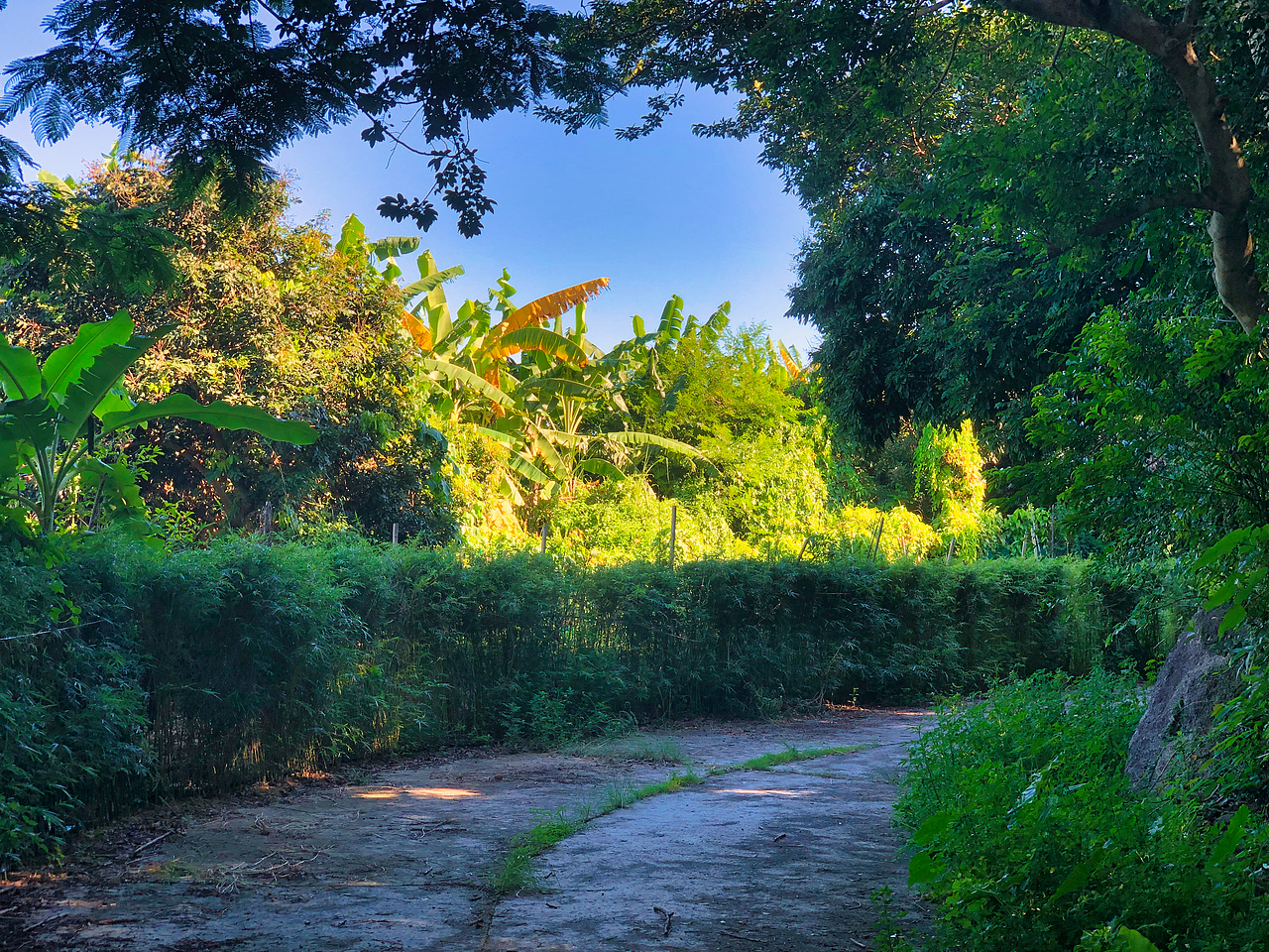 深圳大鹏东山寺（图ZMzQ1NTkxMTYw） - 风光摄影 - 站酷设计师limin2019art原创素材 - 站酷ZCOOL