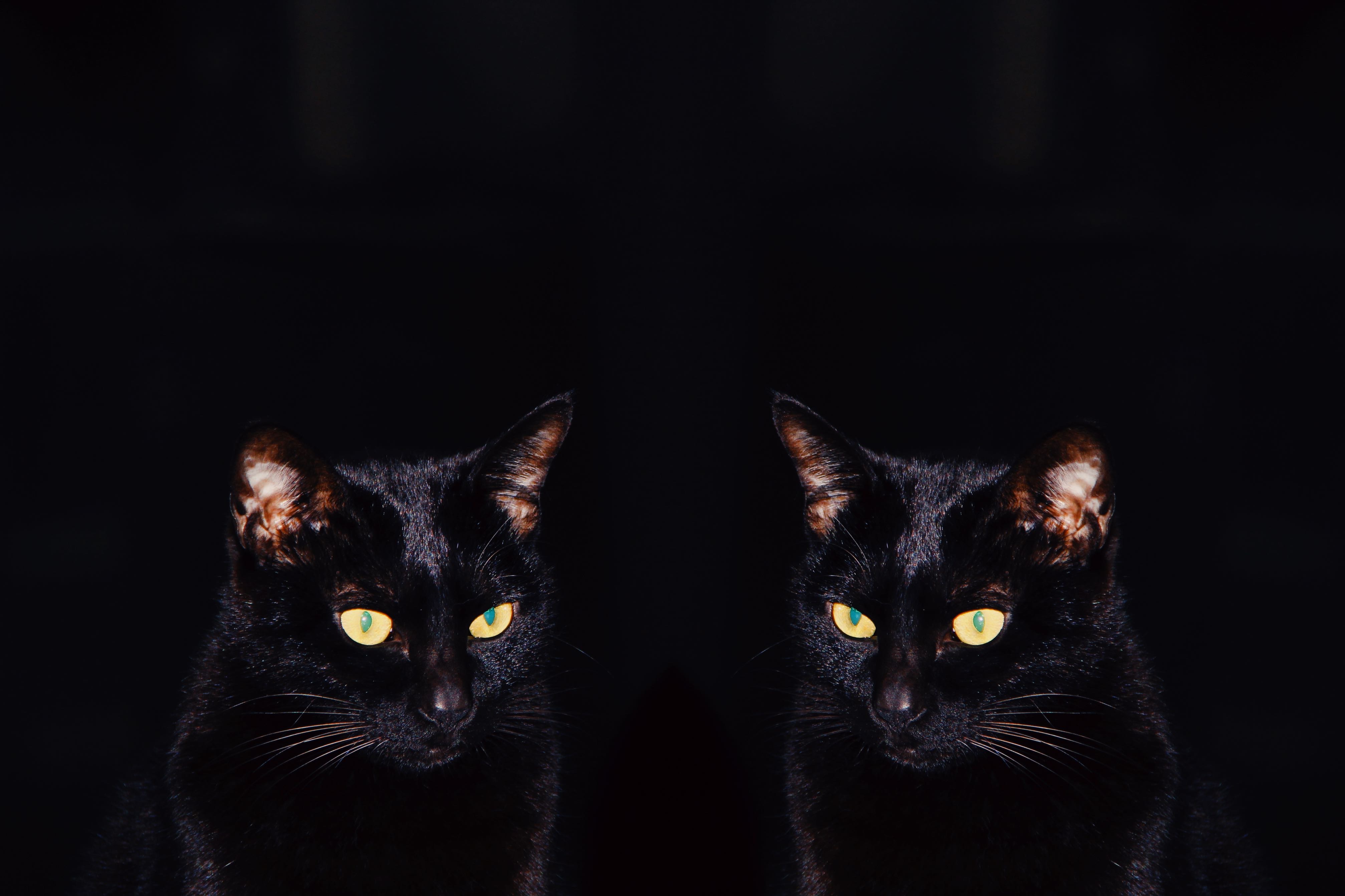 fiiiiiiiki的個人主頁（封面預覽） - 主頁封面設置 - 站酷設計師fiiiiiiiki原創(chuàng)素材 - 站酷ZCOOL