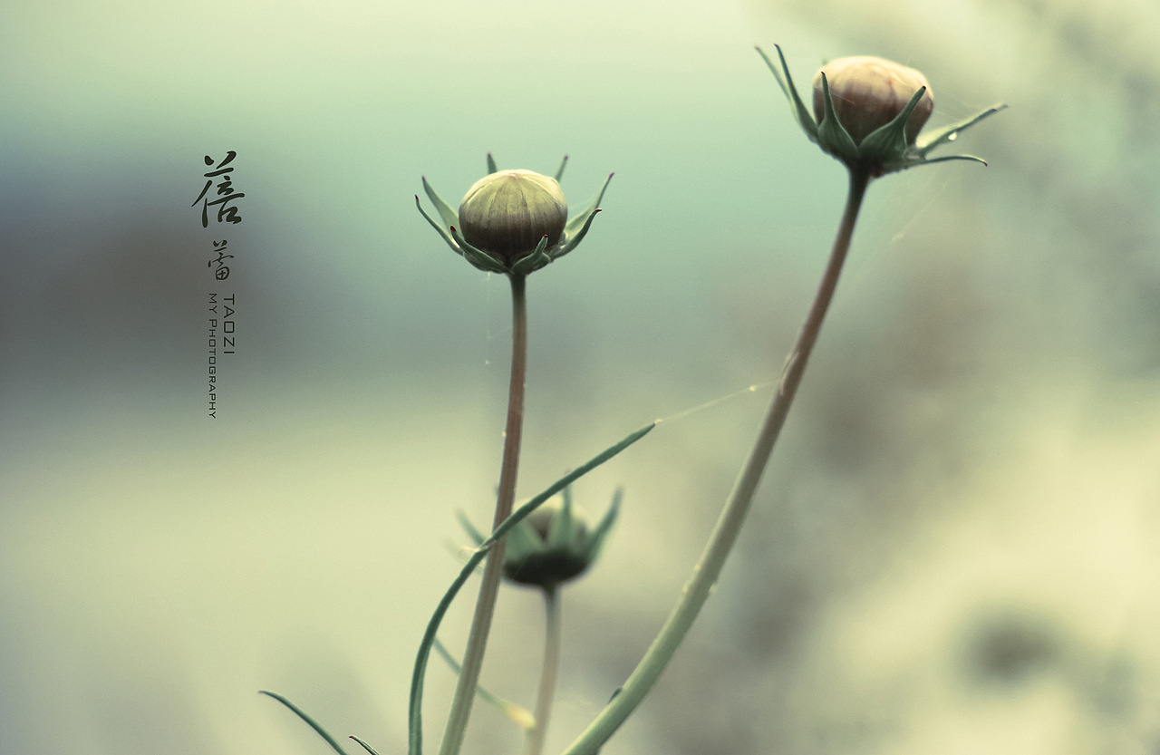 2014云南之旅（一）（图ZMjM3MTA4NjQ=） - 风光摄影 - 站酷设计师体验设计桃子原创素材 - 站酷ZCOOL