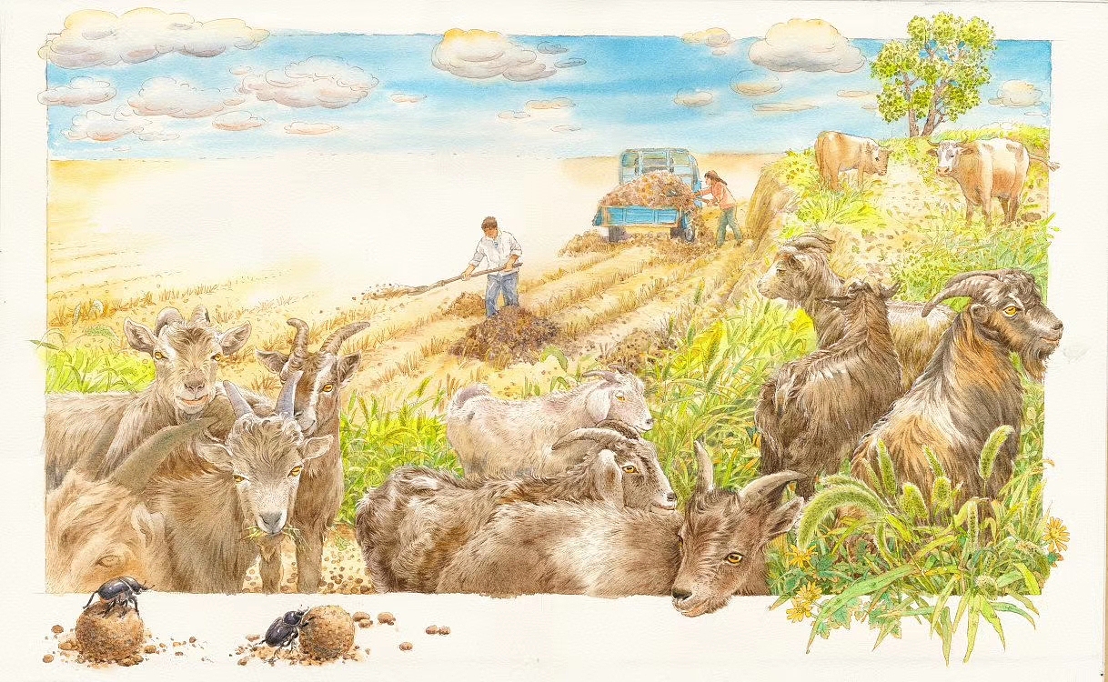 画到记忆深处（图ZMjE5ODg5Njc2） - 绘本 - 站酷设计师1979水印原创素材 - 站酷ZCOOL