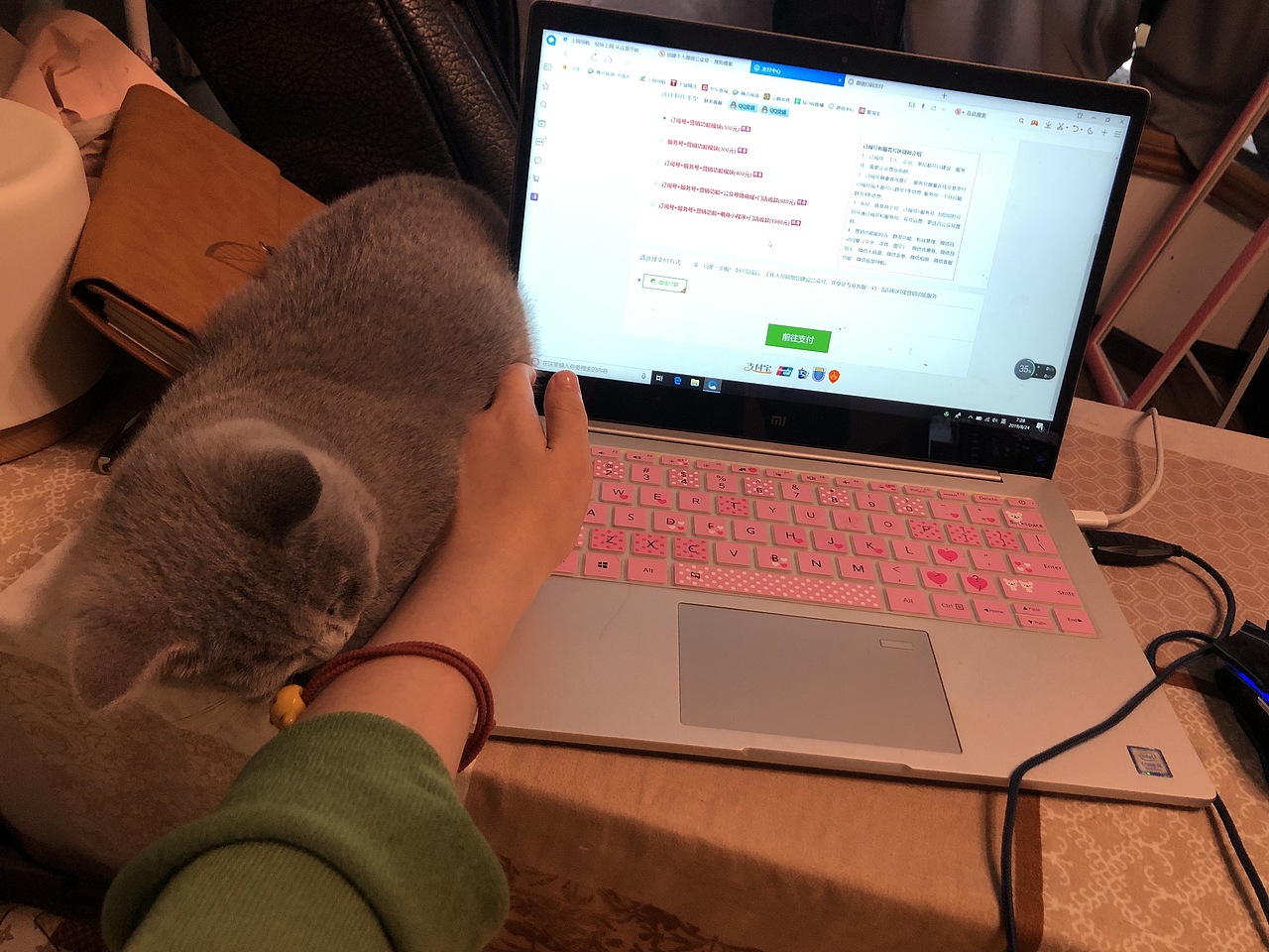 暖心的猫咪，
太粘人了，<br>如果能大一点，<br>是不是抱着就舒服些了。<br>