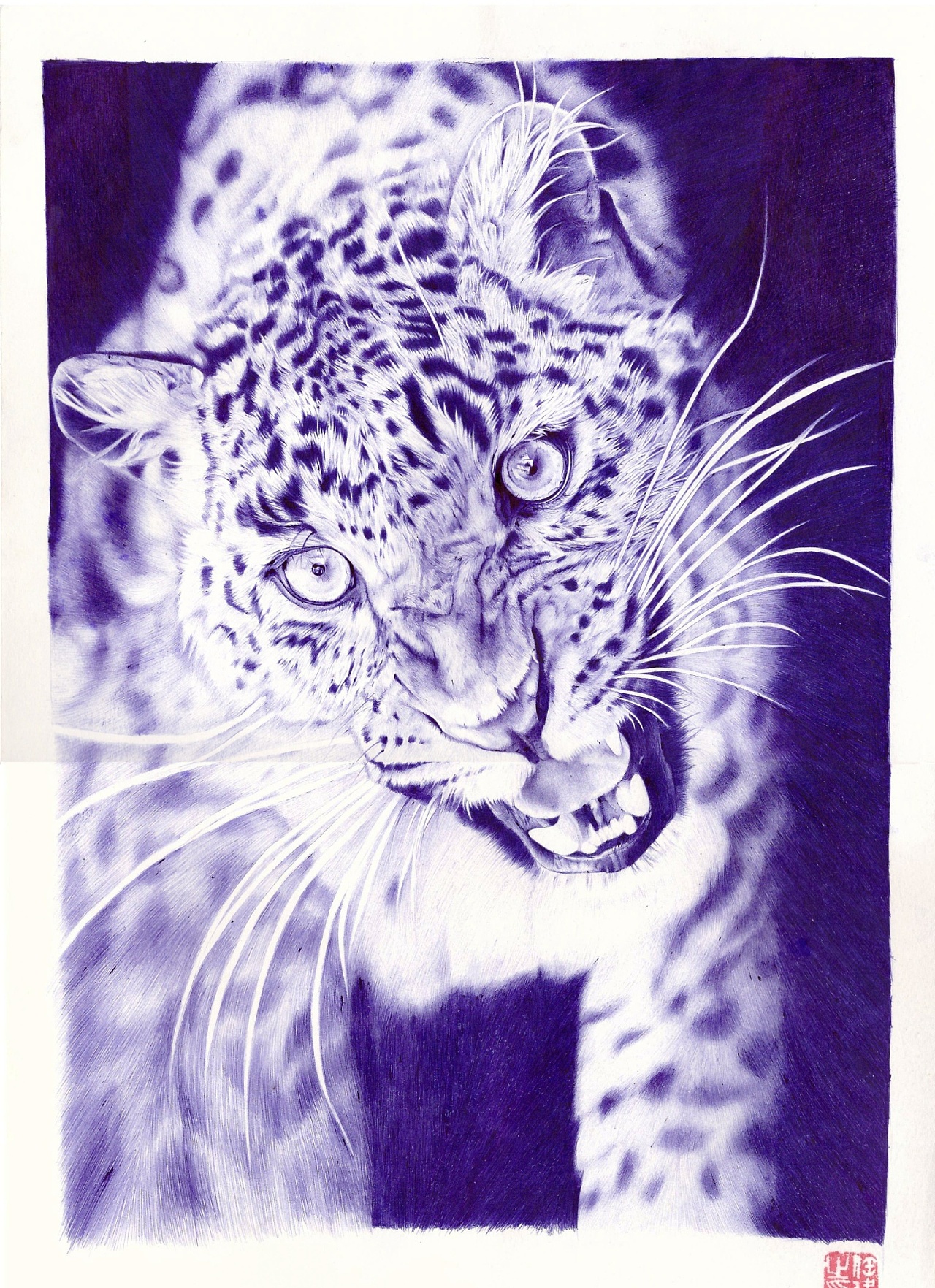 圆珠笔画 可爱的动物们