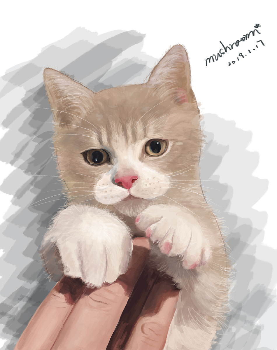 我有只可爱的喵之1《初见蛋》（图ZMTQyMzQ2MjYw） - 创作习作 - 站酷设计师Chu橋楚Qiao原创素材 - 站酷ZCOOL