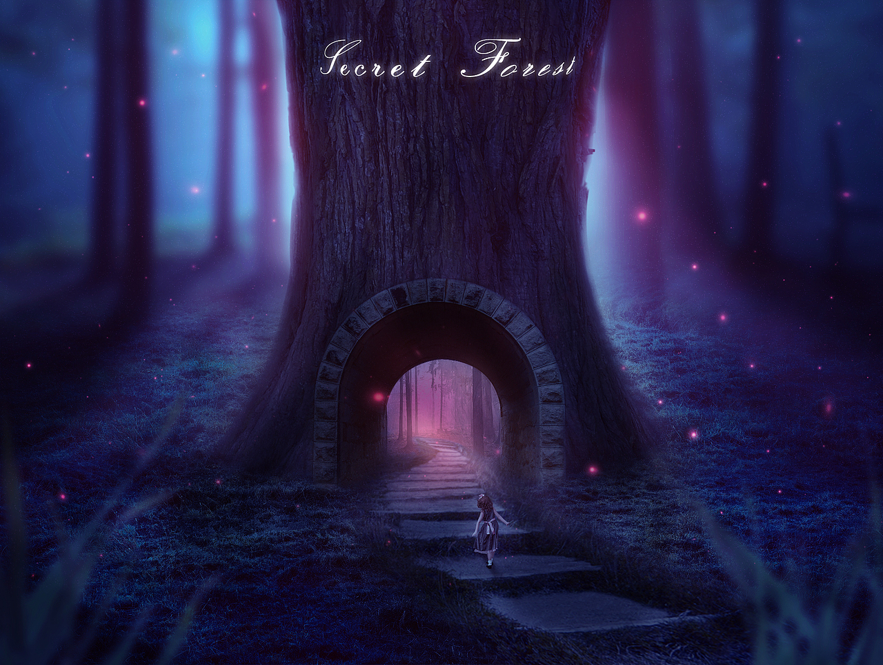 合成练习秘密森林Secret forest