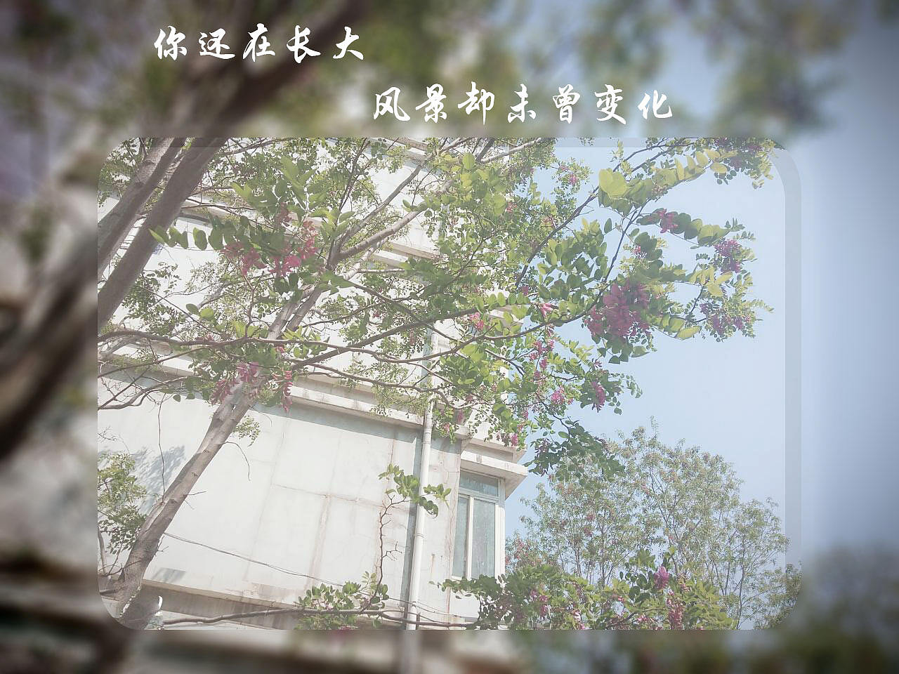 我的美好生活——身边的风景（图ZMTU4MTY2NDAw） - 其他UI - 站酷设计师卿雨韵原创素材 - 站酷ZCOOL