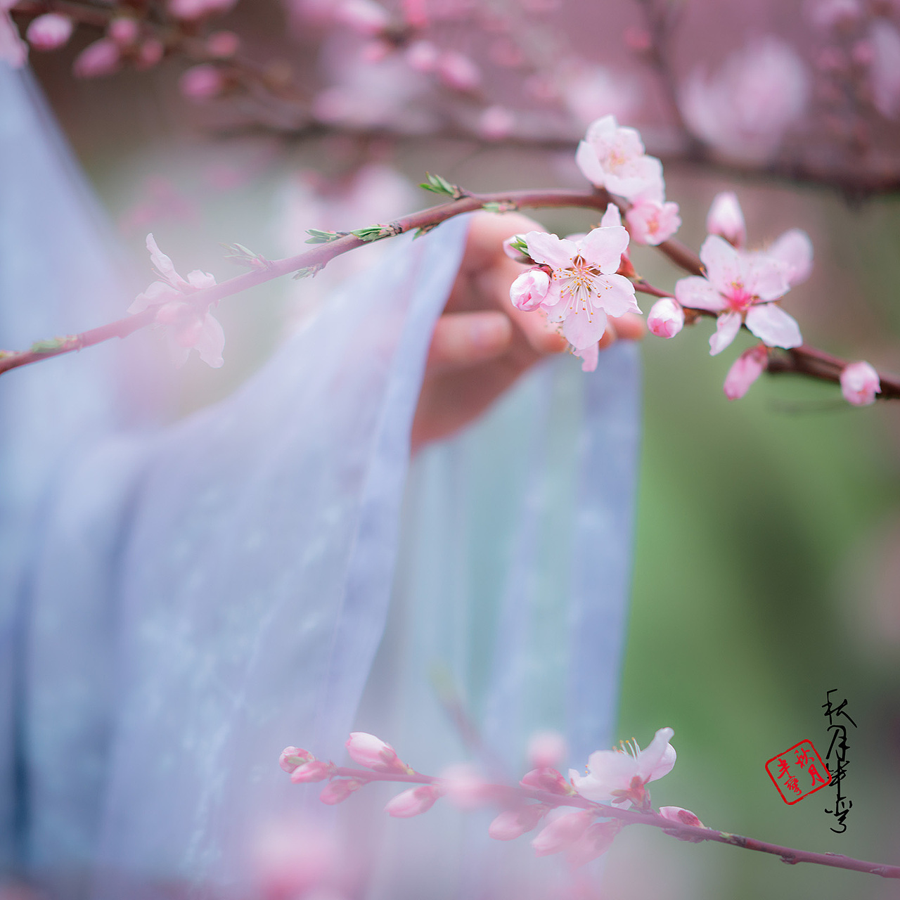 世外桃源的小仙女