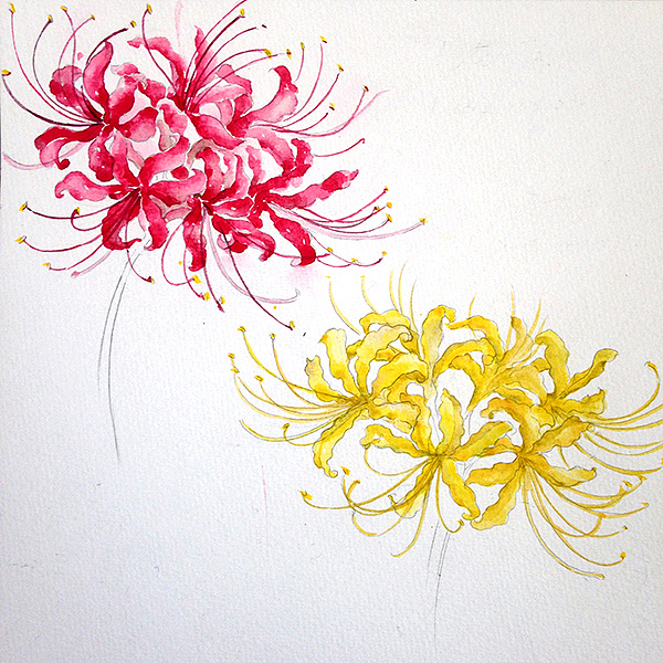 插画|商业插画|蔓玫 - 原创作品 - 站酷 (zcool)