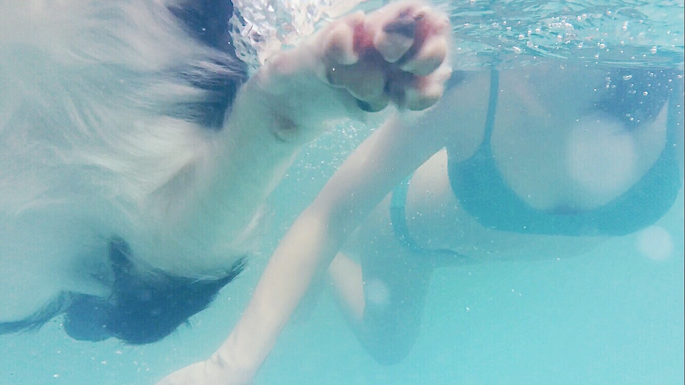 NancyinForest的个人主页（背景预览） - 主页背景设置 - 站酷设计师NancyinForest原创素材 - 站酷ZCOOL