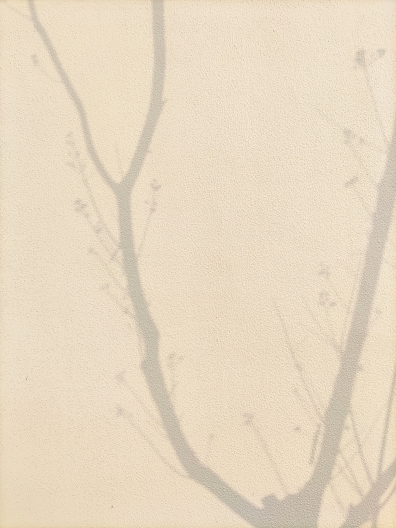 手机拍摄（图ZMjQyMDM5NDI4） - 产品摄影 - 站酷设计师191436255原创素材 - 站酷ZCOOL