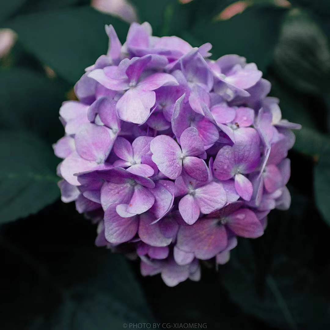 随拍·游赏（杭州亚运公园）（图ZMjg0NTk2Mjg4） - 风光摄影 - 站酷设计师CG_小萌原创素材 - 站酷ZCOOL