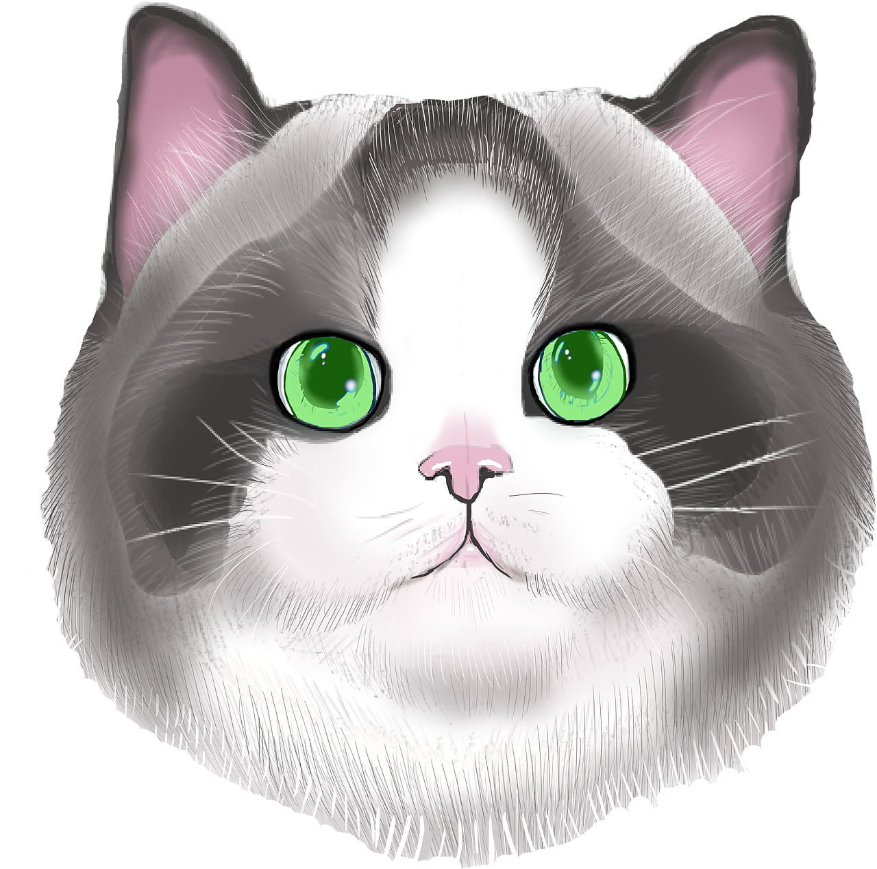 猫头|插画|新锐潮流插画|z99991699 - 原创作品 - 站酷 (zcool)