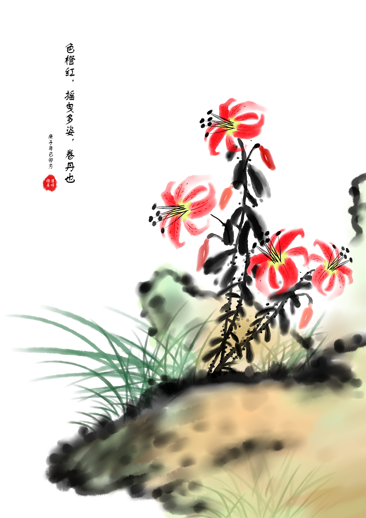 卷丹（图ZMjAzMzEwMTQ0） - 艺术插画 - 站酷设计师是杨漂亮呀原创素材 - 站酷ZCOOL
