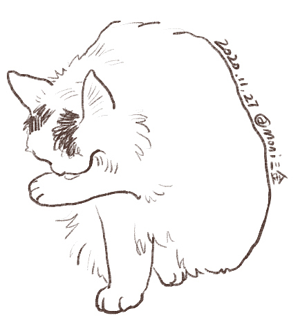 卷卷日常（图ZMjM1ODIxODgw） - 创作习作 - 站酷设计师喵三山原创素材 - 站酷ZCOOL