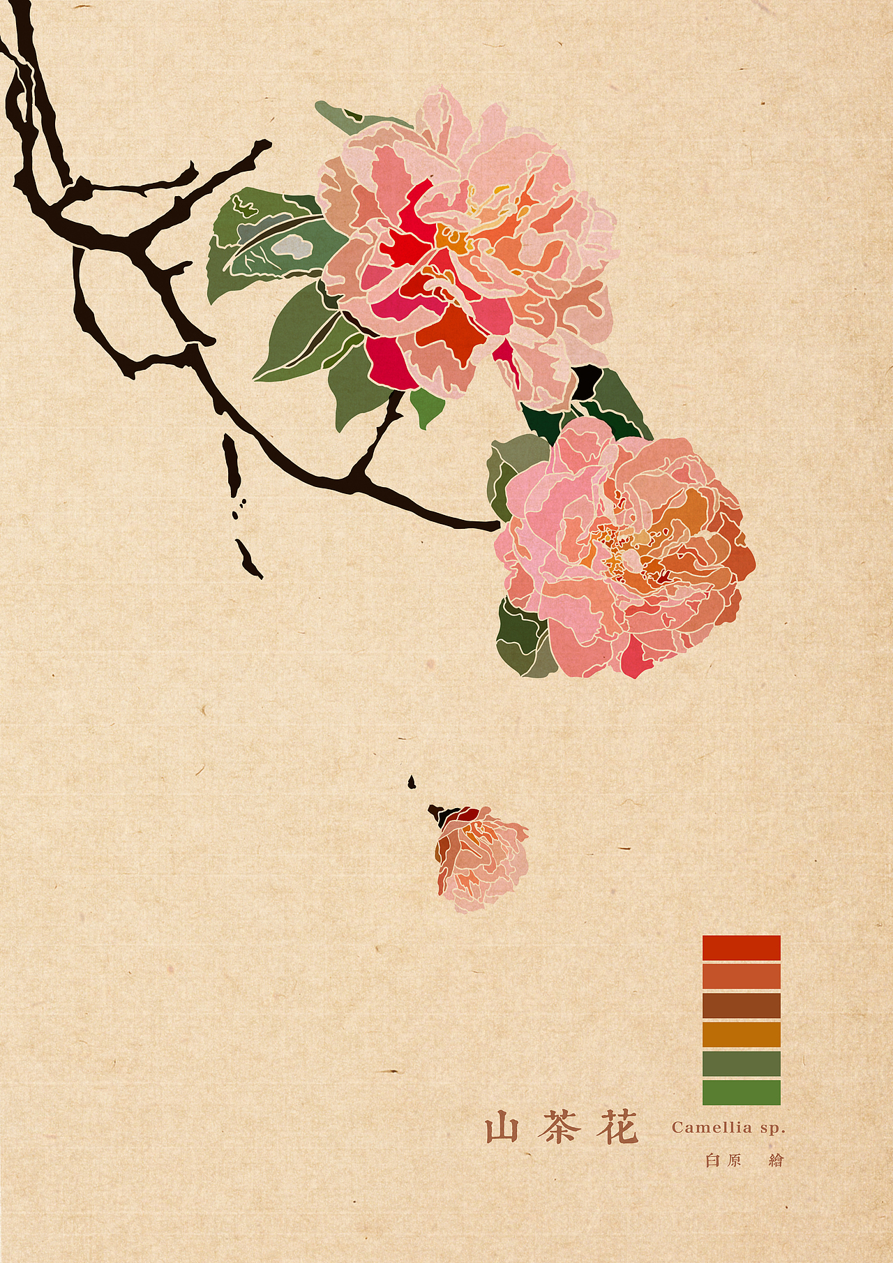 《百花绘 之 山茶花》_插画师白原-站酷zcool