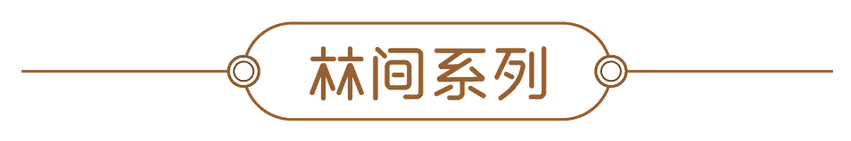 “中条山下”农产品包装设计（图ZMjE5ODkyOTky） - 品牌 - 站酷设计师屿也原创素材 - 站酷ZCOOL