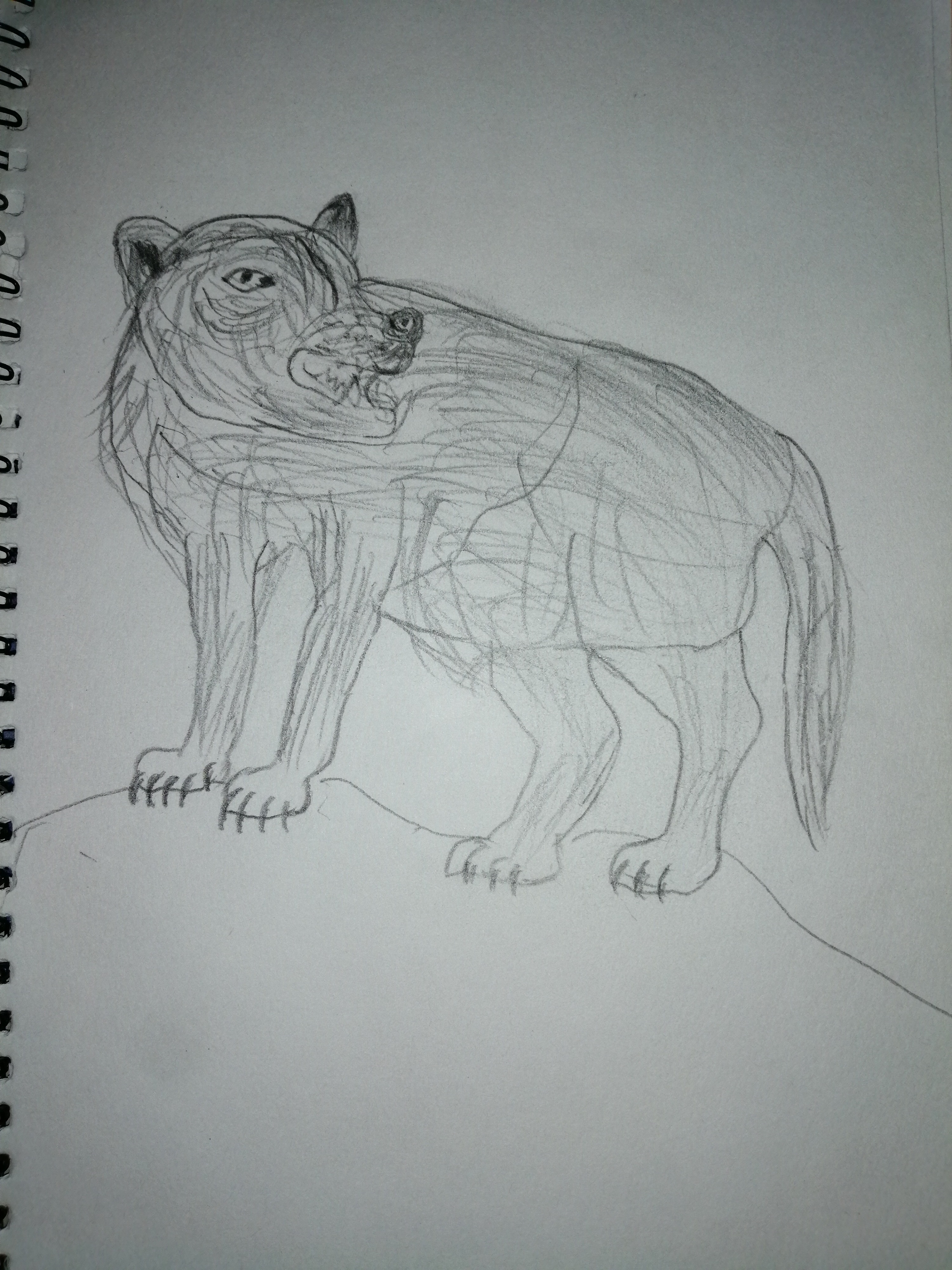 素描画|其他|其他|大凯zhao - 原创作品 - 站酷 (zcool)