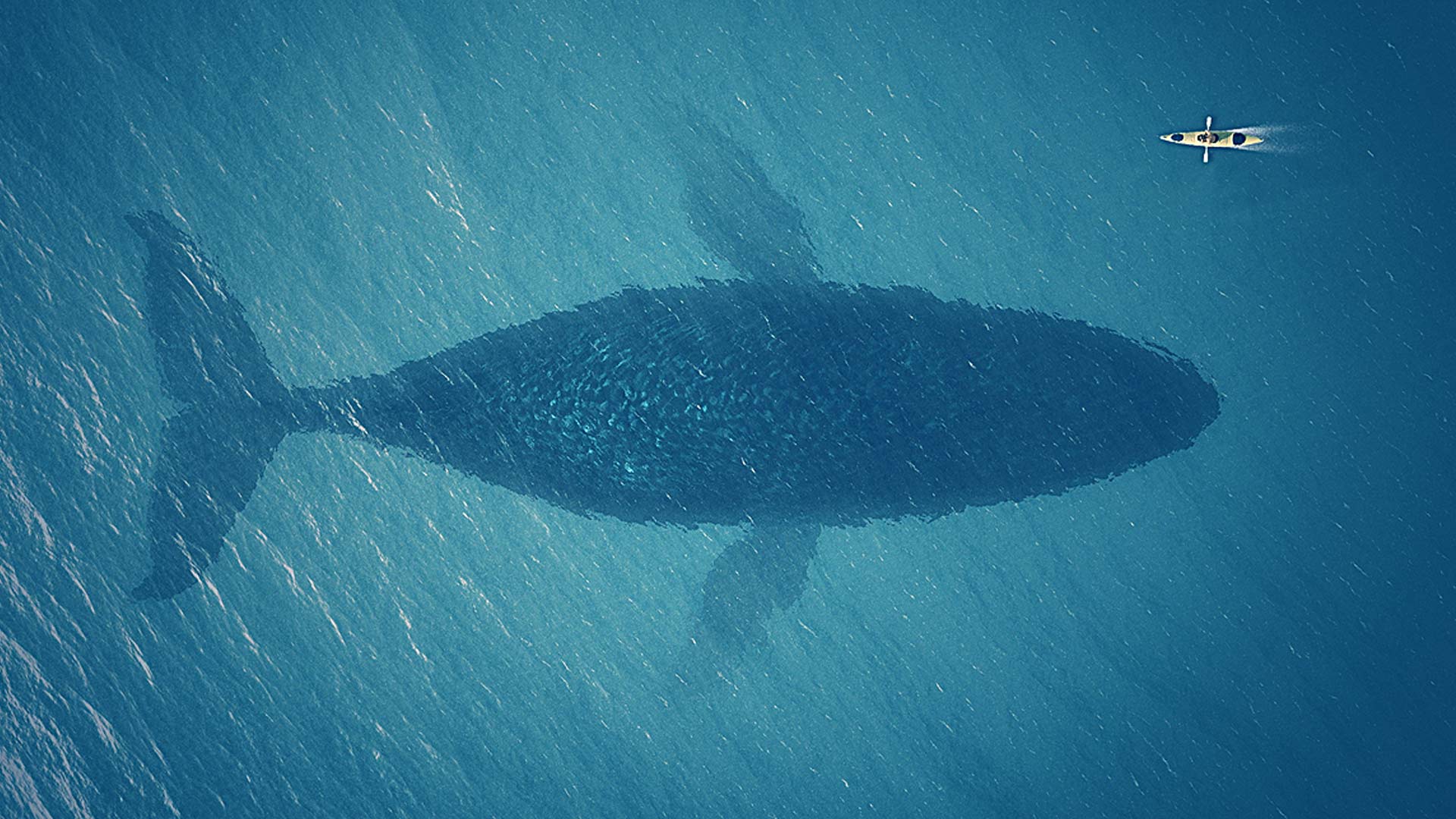 dogedogedoor的個(gè)人主頁（背景預(yù)覽） - 主頁背景設(shè)置 - 站酷設(shè)計(jì)師dogedogedoor原創(chuàng)素材 - 站酷ZCOOL