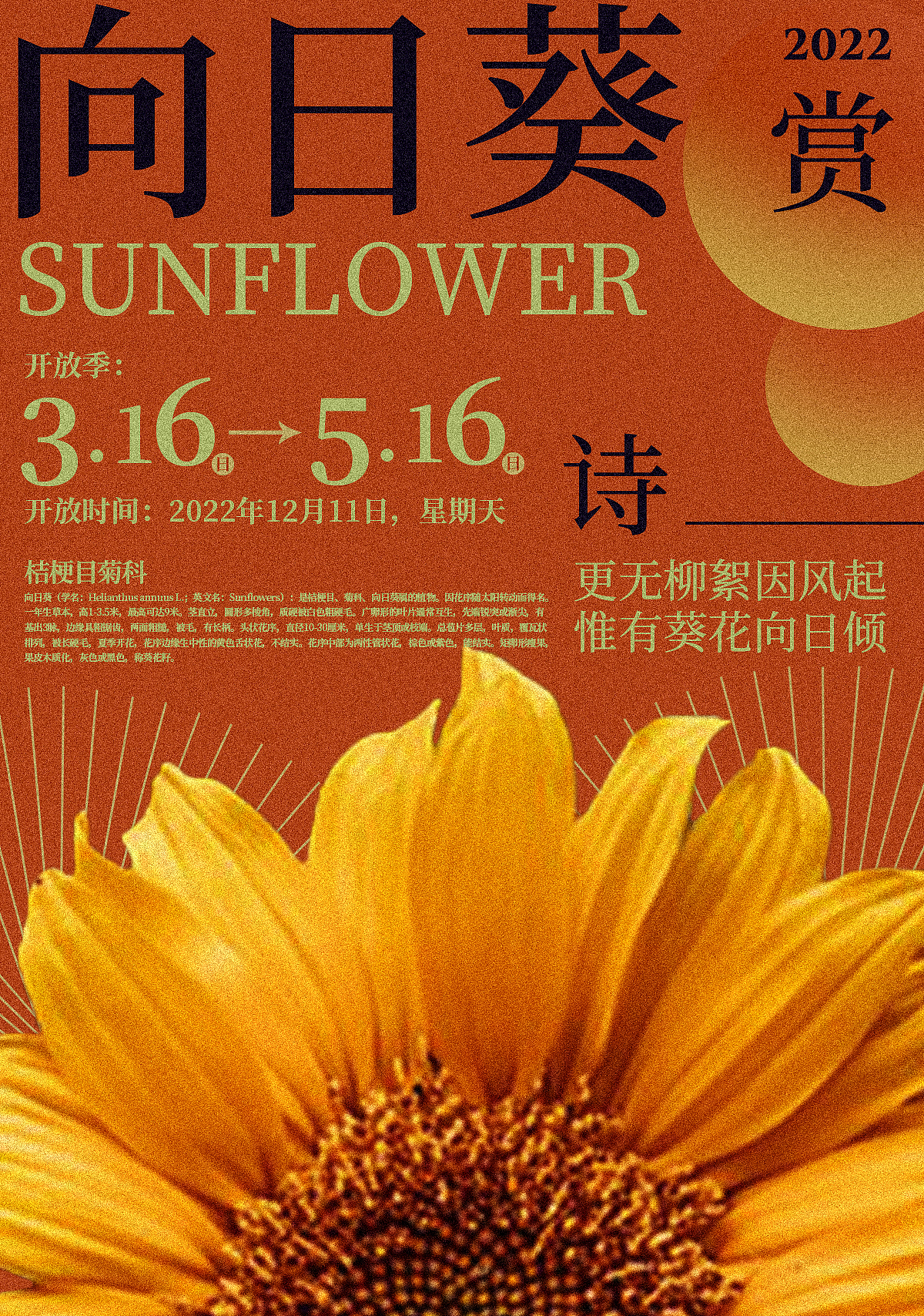 Day.07（水平测试-海报）（图ZMzI1MTQ4NTc2） - 海报 - 站酷设计师繁荣fr原创素材 - 站酷ZCOOL